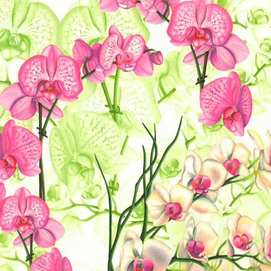 Pink Orchids Italian Paper ~ Tassotti